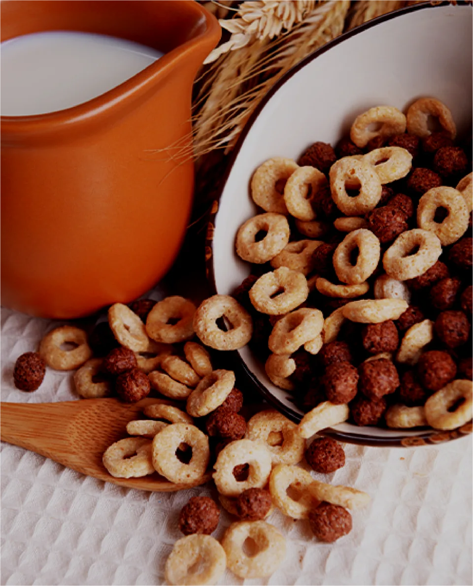 Breakfast cereal